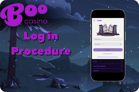Log in BooCasino app with email and password